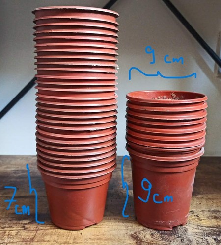 Plastic plant pots used - plastic,