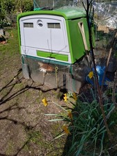 Omelette Mark2 Coop With 4