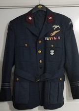 Reproduction Polish Air Force