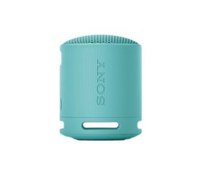 SONY SRS-XB100 Portable