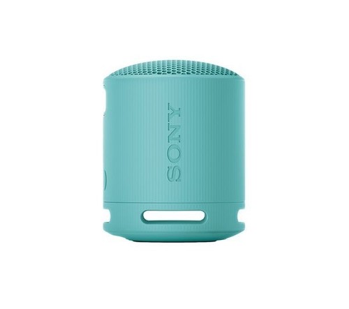 Sony srs xb100 portable - srs-xb100,