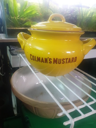 Vintage colman mustard - vintage,