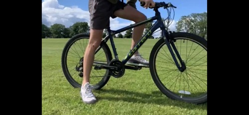 Carrera mountain bike navy - carrera,