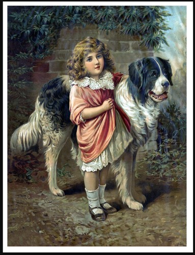 Newfoundland and little - and,