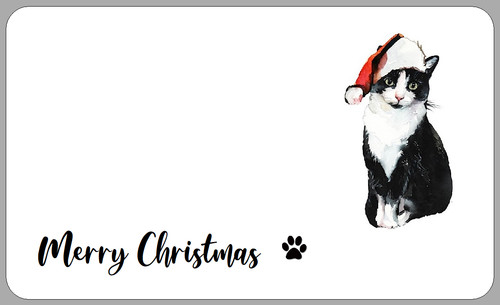 Christmas cat parcel - cat,