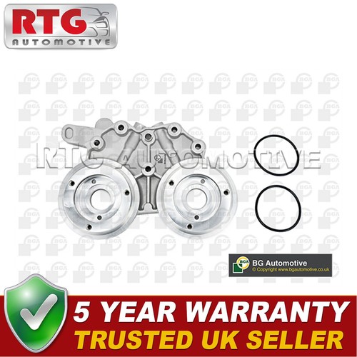 Rtg camshaft bearing - rtg,