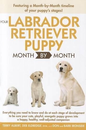 Your labrador retriever puppy - labrador,