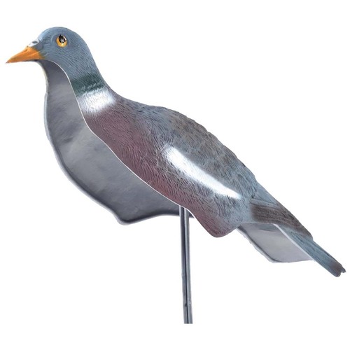 Bisley standard pigeon - bisley,