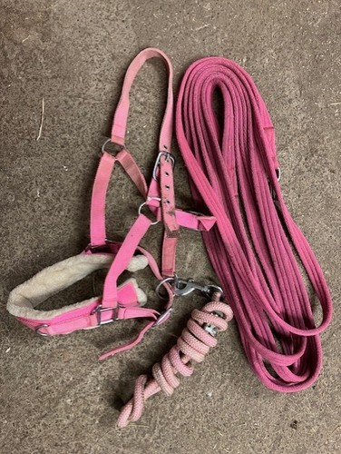 Pink bundle lunging - bundle, cavesson