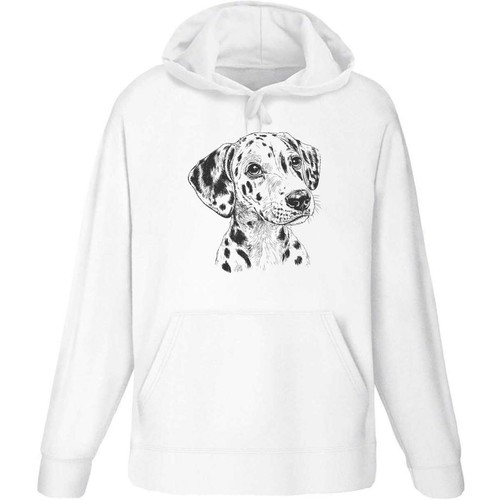 Dalmation puppy portrait - 'dalmation,