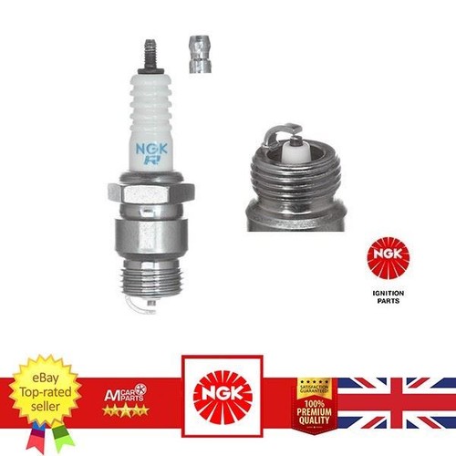 Spark plug for - for, capri