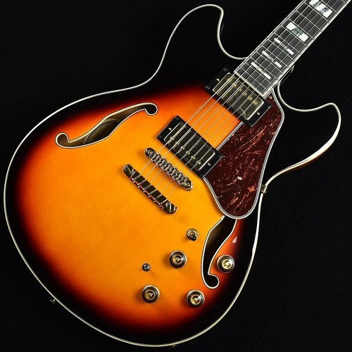 Ibanez electric guitar - ibanez,