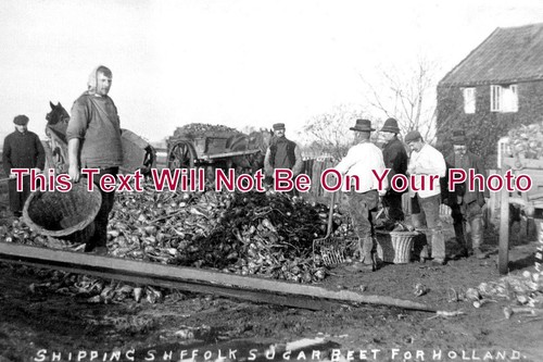 3897 shipping suffolk - 3897,