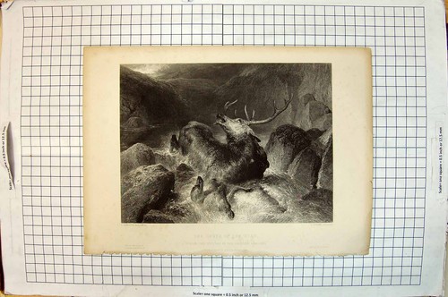 Antique old print - old, death