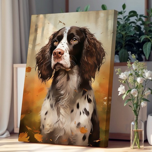 English springer spaniel - springer,
