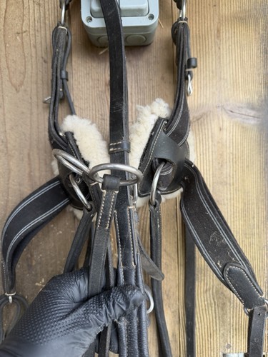 Shires padded 5point - shires,