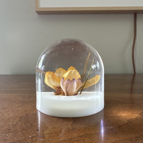 Rolfe vintage clear and - w.,