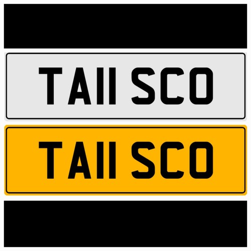 Ta11 sco big - ta11, tall