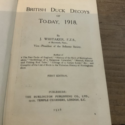 British duck decoys day - british,
