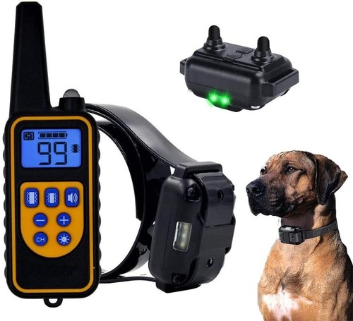Dog training vibrating - training, for