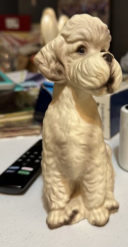 Vintage bichon white poodle - vintage,