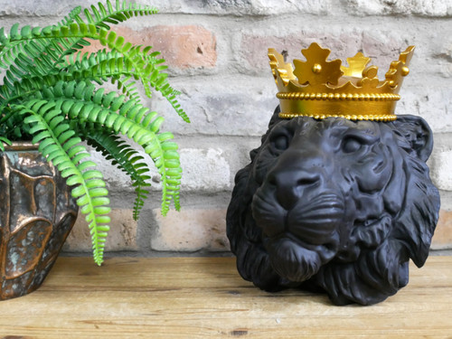 Black lion head - lion,