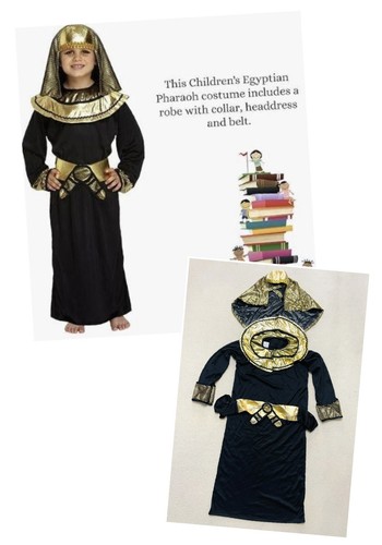 Kids egyptian pharaoh costume - kids,
