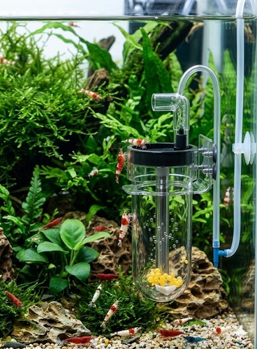 Dwarf shrimp egg tumbler - dwarf,