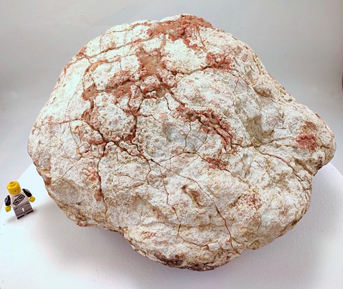 Giant unopened geode - 10",