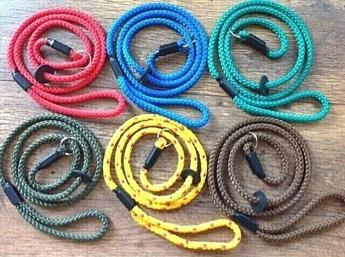 Slip lead for - , dogs