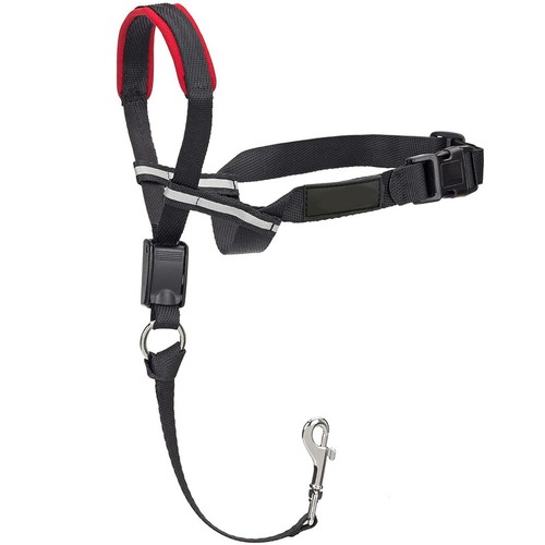 Headcollar non pull - headcollar, dog