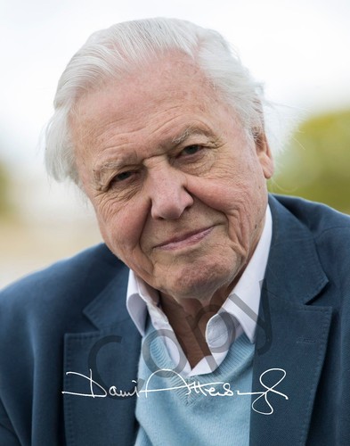 David attenborough 7x5 pre - attenborough,