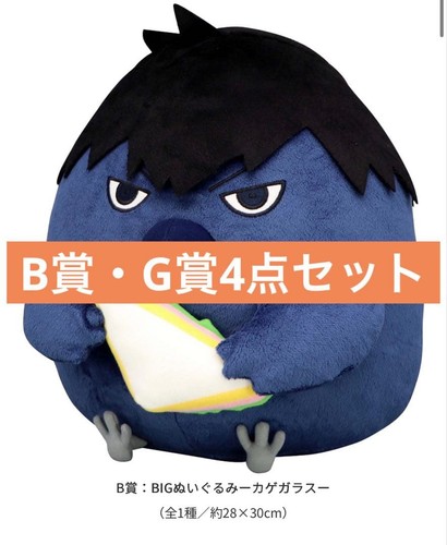 Haikyuu animal picnic - haikyuu,