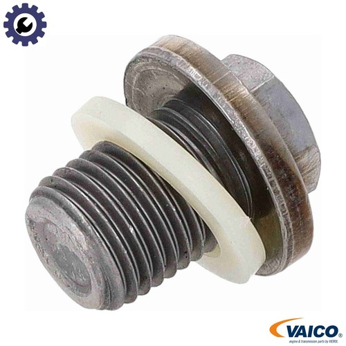 Screw plug oil - screw,