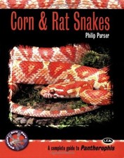 Corn and Rat Snakes (Complete