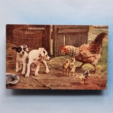 Artist Signed Postcard 1908 Sydney Hayes Trespassers Puppies Hen Chicks