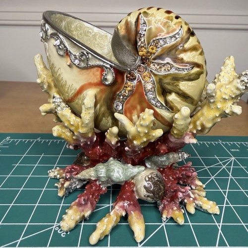Rare nautilus shell sculpture - nautilus,