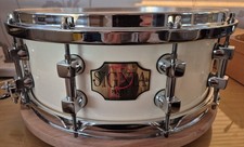 Premier 90s 14x5.5 2055 Signia