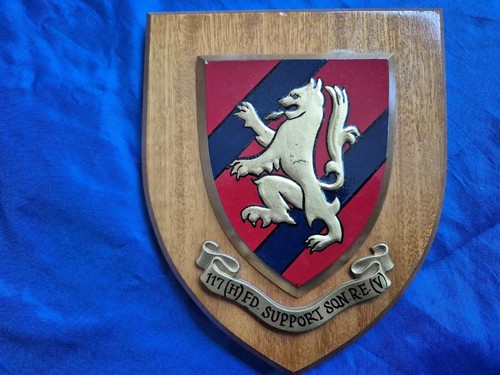 117 field support squadron - 117,