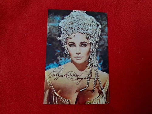 Elizabeth taylor photo - elizabeth,