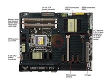One used sabertooth p67 - one,