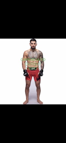 Ilia topuria ufc fighter life - fighter,