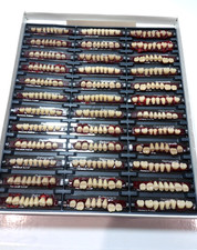 Acrylic Teeth Heraeus Kulzer Dental Teeth Box Set Colour Chart