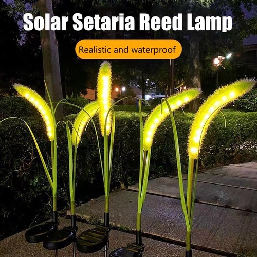Solar garden light - garden, simulation