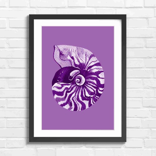Vintage nautilus shell - vintage,
