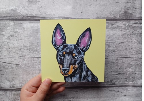 English toy terrier - english,