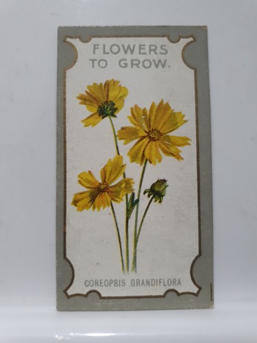 Lea cigarette card - r,
