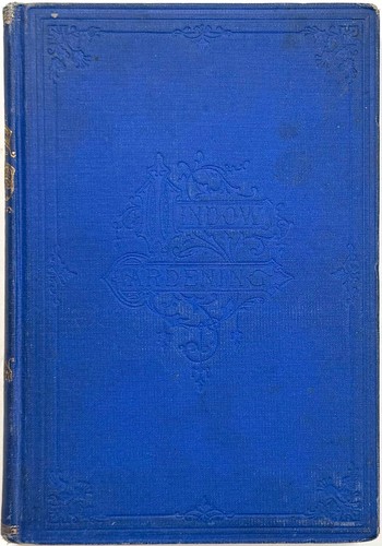 1872 window gardening williams - 1872,