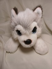 Husky puppy dog soft toy - puppy, by