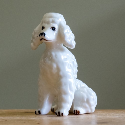 Vintage white poodle - vintage, sitting